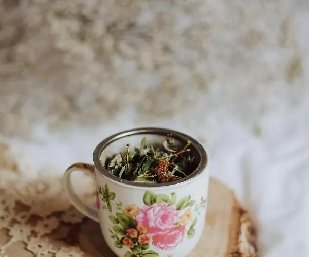 74 לינה וארוחת בוקר 3*